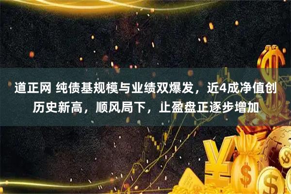 道正网 纯债基规模与业绩双爆发，近4成净值创历史新高，顺风局下，止盈盘正逐步增加