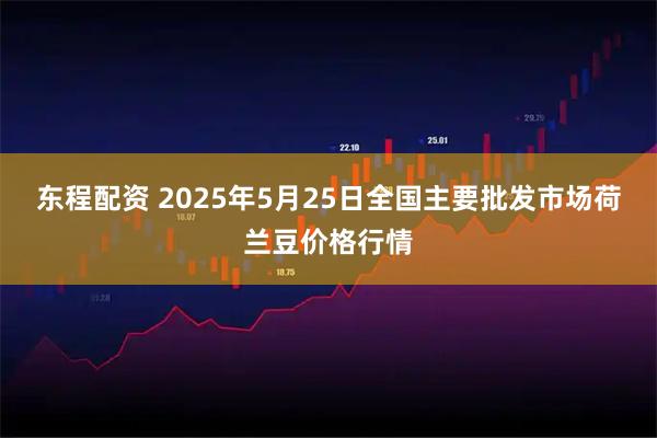 东程配资 2025年5月25日全国主要批发市场荷兰豆价格行情