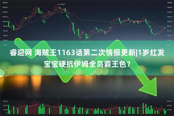 睿迎网 海贼王1163话第二次情报更新|1岁红发宝宝硬抗伊姆全岛霸王色？